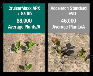 Soybean seed treatment comparisons show CruiserMaxx APX and Saltro seed treatments deliver stronger, healthier plant stands than other soybean seed treatments.
